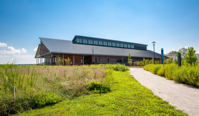 A modern building with a dark metal roof sits surrounded by green grass and wild plants. A gravel path leads to the entrance under a clear, bright blue sky.