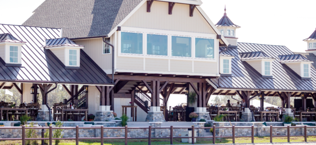 Still Standing After the Storm