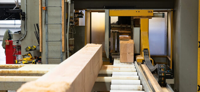 Cautious Optimism as Timber Prices Continue to Drop