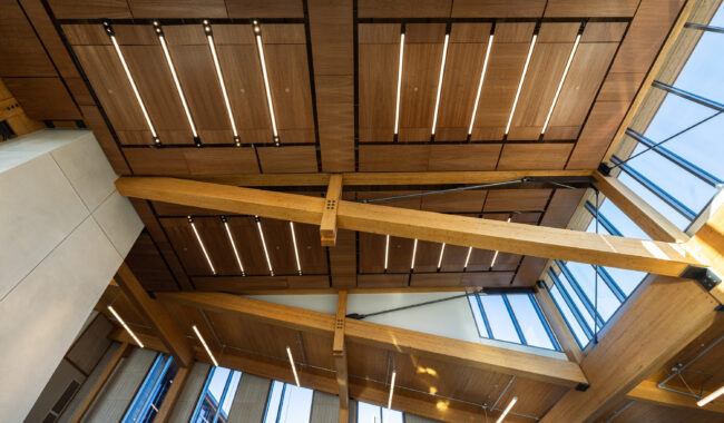 Angled view of a modern ceiling with wooden beams and panels, integrated linear LED lights, and large windows letting in natural light.