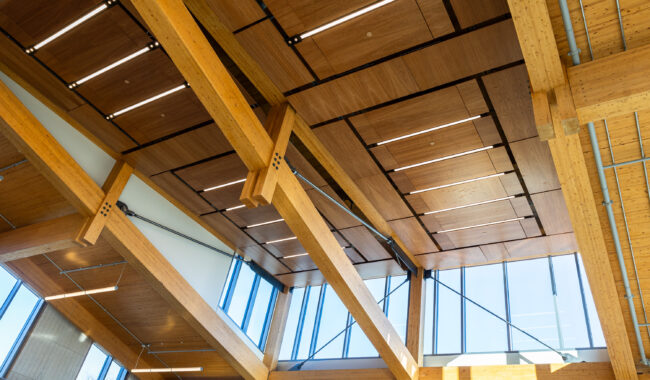 Exposed wooden beams and panels form the modern ceiling of a building, with natural light streaming through large windows, creating a bright and spacious atmosphere.