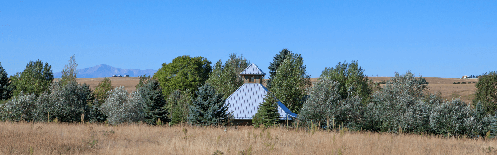 8 Reasons to Build with Timber Framing in the Rockies