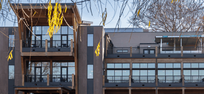 Mass Timber Myths: The Truth About Strength, Fire Resistance & Cost